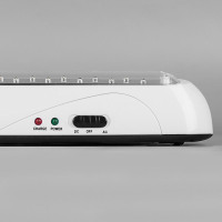 Светильник аккумуляторный, 22 LED AC/DC, белый, EL14 в каталоге электрики 220.ru, артикул 12634