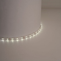 Светодиодная LED лента Feron LS603, 60SMD(2835)/м 4.8Вт/м 12V 5м 3000К в каталоге электрики 220.ru, артикул 27597