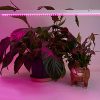 Светодиодный светильник для растений, спектр фотосинтез (красно-синий) 14W, пластик, AL7001 в каталоге электрики 220.ru, артикул 41352