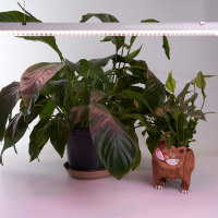 Светодиодный светильник для растений, спектр фотосинтез (полный спектр) 9W, пластик, AL7002 в каталоге электрики 220.ru, артикул 41354