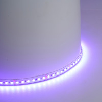 Светодиодная LED лента Feron LS501, 120SMD(5050)/м 11Вт/м 24V 5000*10*1.5мм RGB IP20 в каталоге электрики 220.ru, артикул 51823