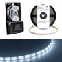 Светодиодная LED лента Feron LS606, 60SMD(5050)/m 14.4W/m 12V 3m 6500К с адаптером с вилкой в комплекте в каталоге электрики 220.ru, артикул 27720