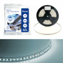 Лента светодиодная стабилизированная 120SMD(2835)/м 8Вт/м 48V 40000*10*1.22мм 6500К, IP20 LS420 FERON в каталоге электрики 220.ru, артикул 48793