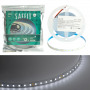 Лента светодиодная 12V SAFFIT SST02 , 120*SMD2835, 9,6W/m, IP20, 6500К (холодный белый) в каталоге электрики 220.ru, артикул 55242